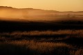 Lever du soleil au Kalahari. Paysage; Lever du soleil; Brume matinale; Désert du Kalahari; Parc Transfrontalier de Kgalagadi; Afrique du Sud 