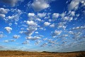 Paysage du désert du Kalahari en Afrique du Sud. Paysage; Désert du Kalahari; Parc Transfrontalier de Kgalagadi; Afrique du Sud 