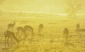 Petit groupe de springboks broute dans le désert du Kalahari au lever du soleil. Animal 
 Mammifère 
 Springbok 
 Antidorcas marsupialis 
 Troupeau 
 Brouter 
 Lever du soleil 
 Désert du Kalahari 
 Parc Transfrontalier de Kgalagadi 
 Afrique du Sud 
 Animaux d'Afrique 
 Faune d'Afrique 
 Afrique 